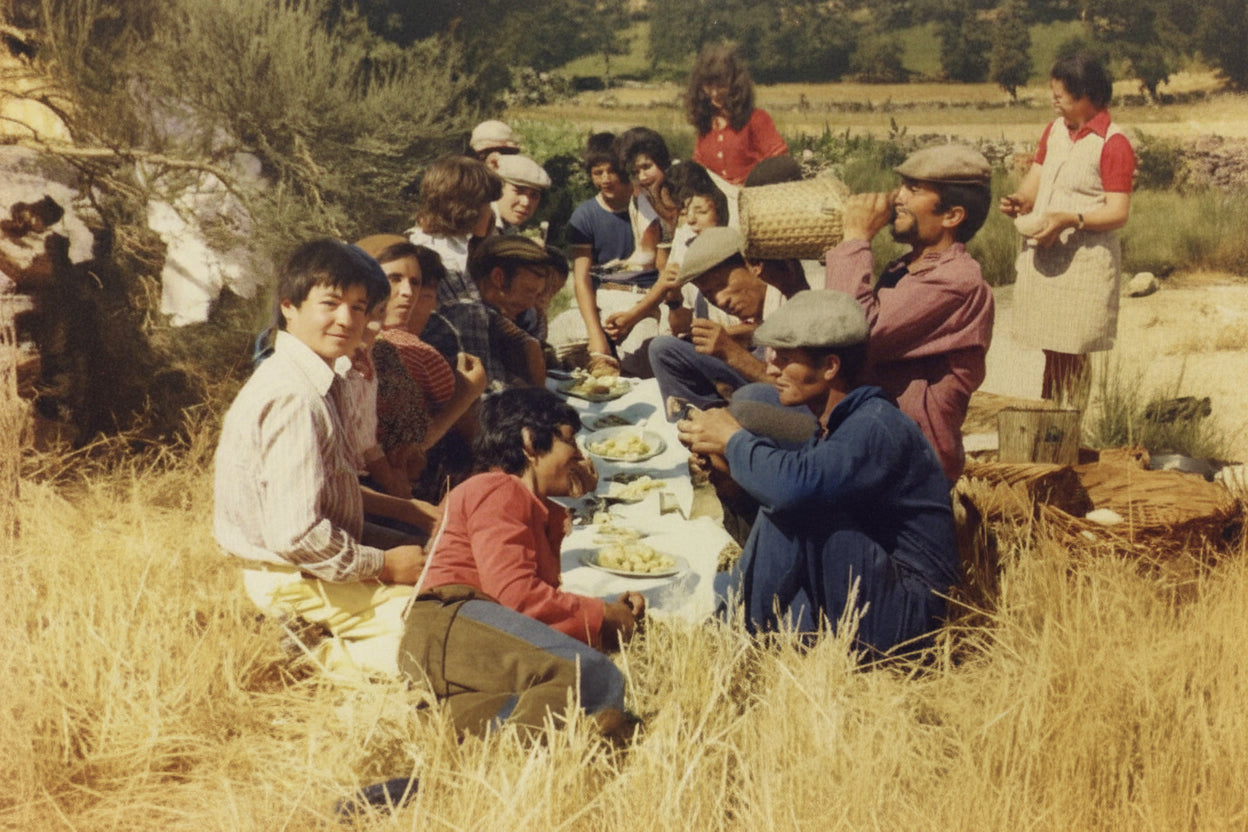 Family vineyard in northern Portugal—hand-harvested grapes and traditional farming